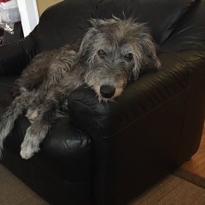 Meet your Posher, April